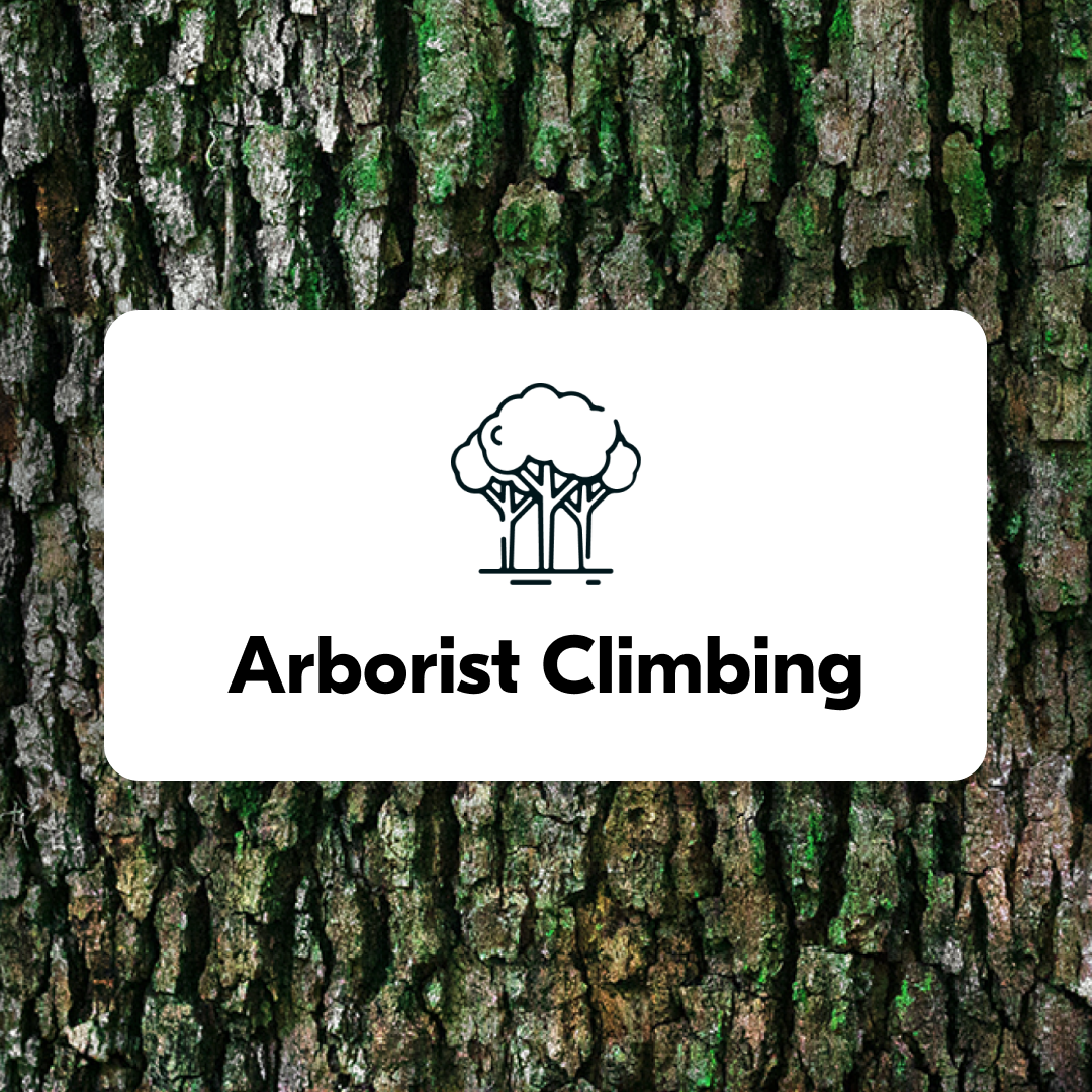 Arborist Climbing Rope