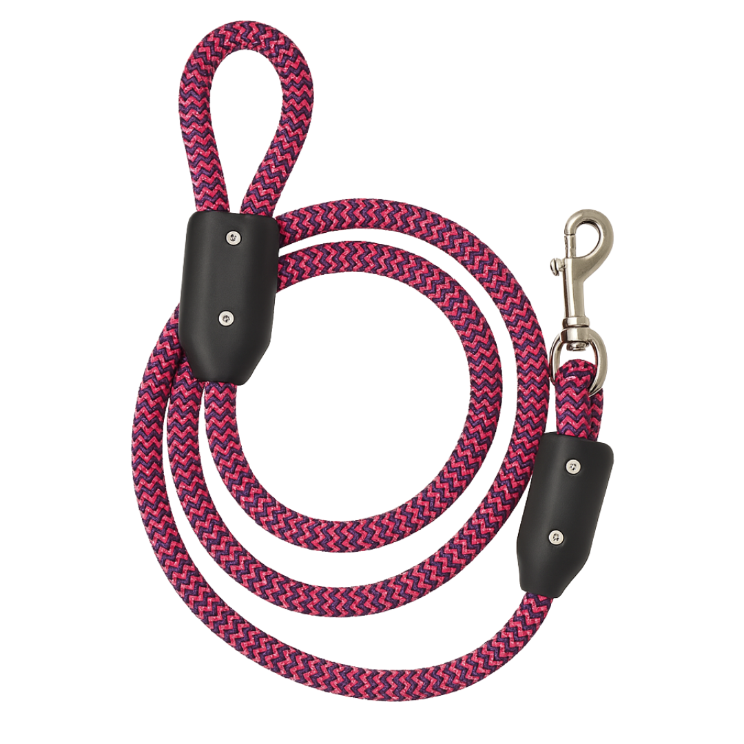 Dog Leash Kit