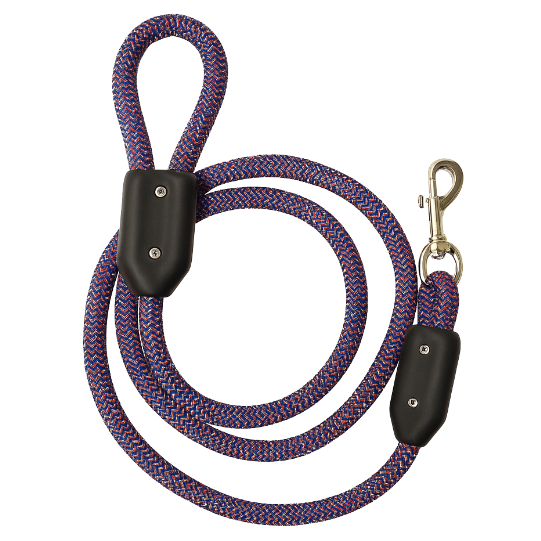 Dog Leash Kit