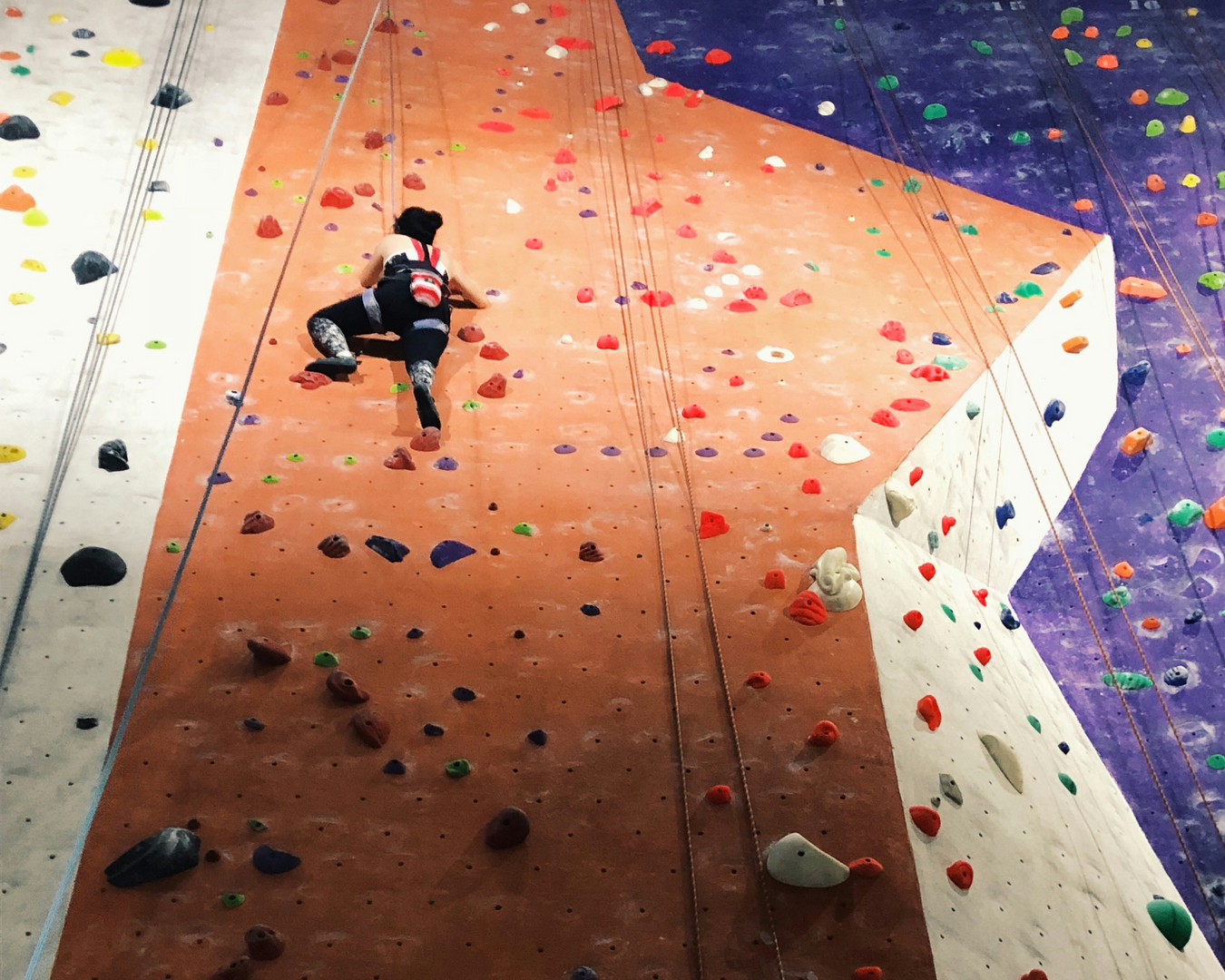Indoor & Gym Ropes