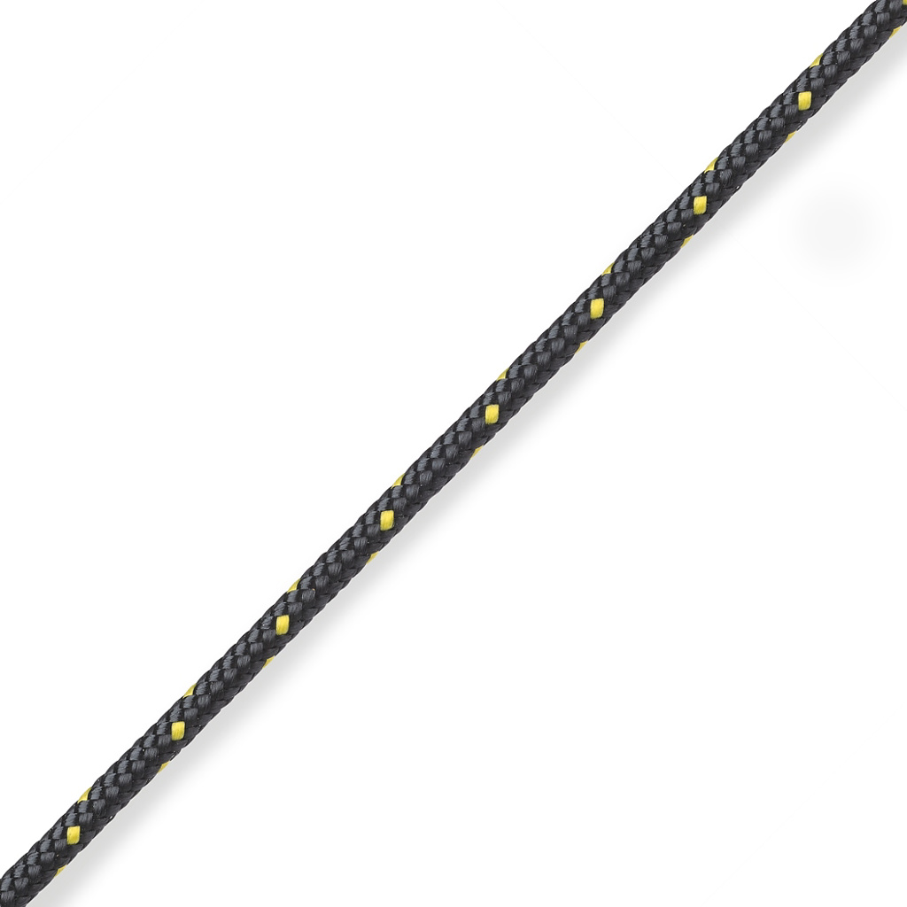 Black/Gold
