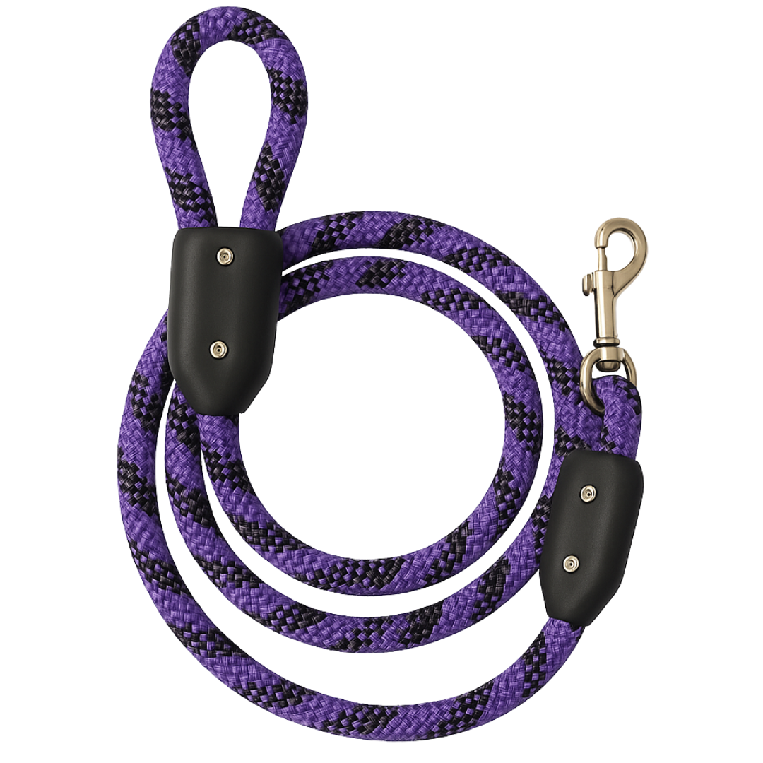 Dog Leash Kit