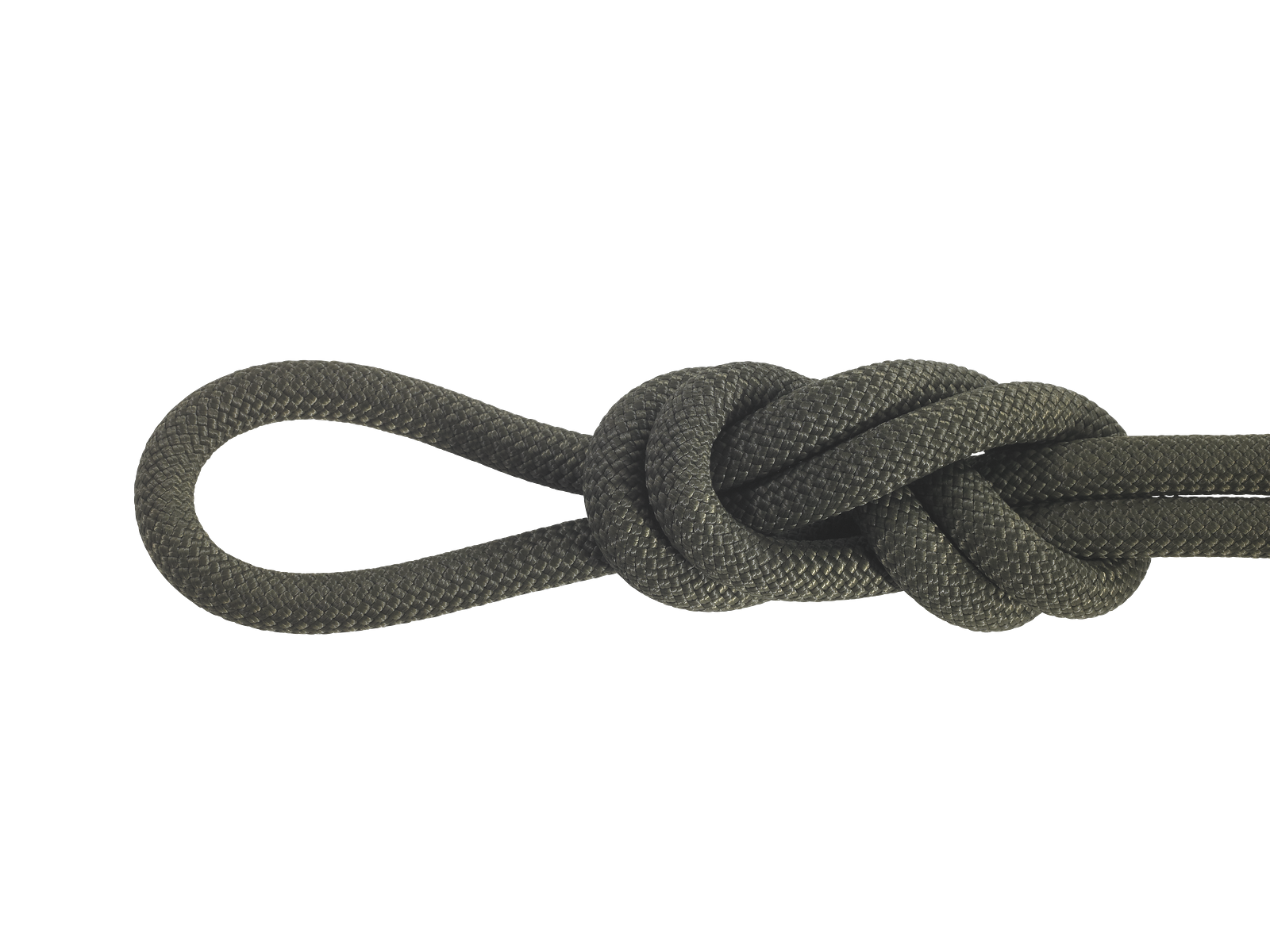 Dog Leash Kit