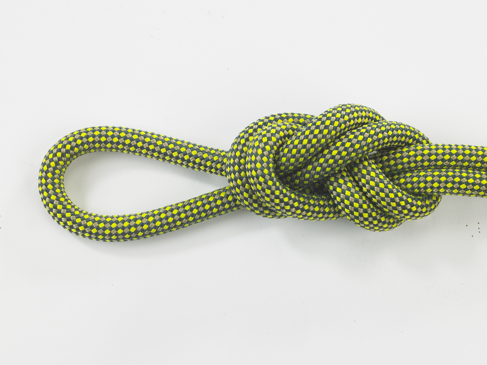 Dog Leash Kit