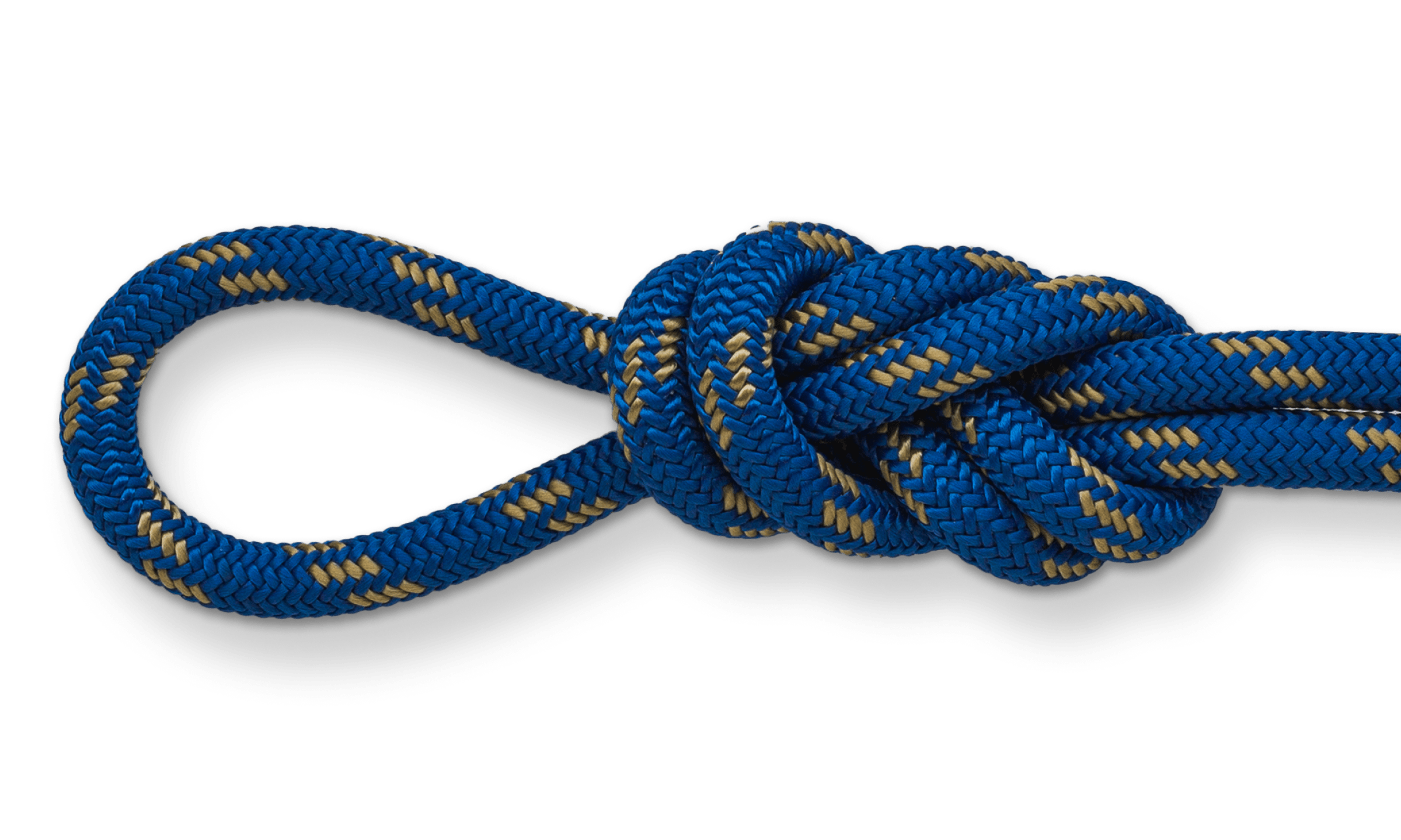 Blue and Gold
