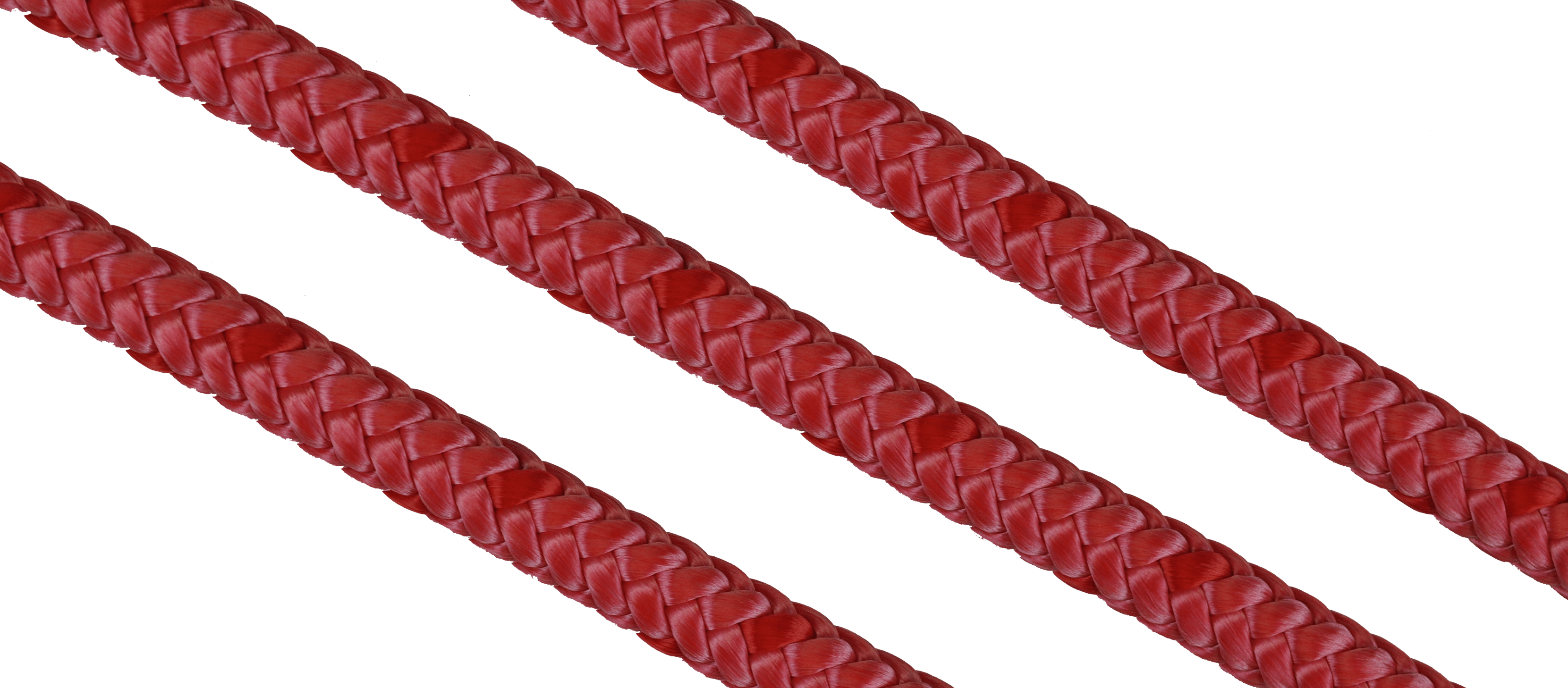 Wonder Bull Rope — ROPE.com